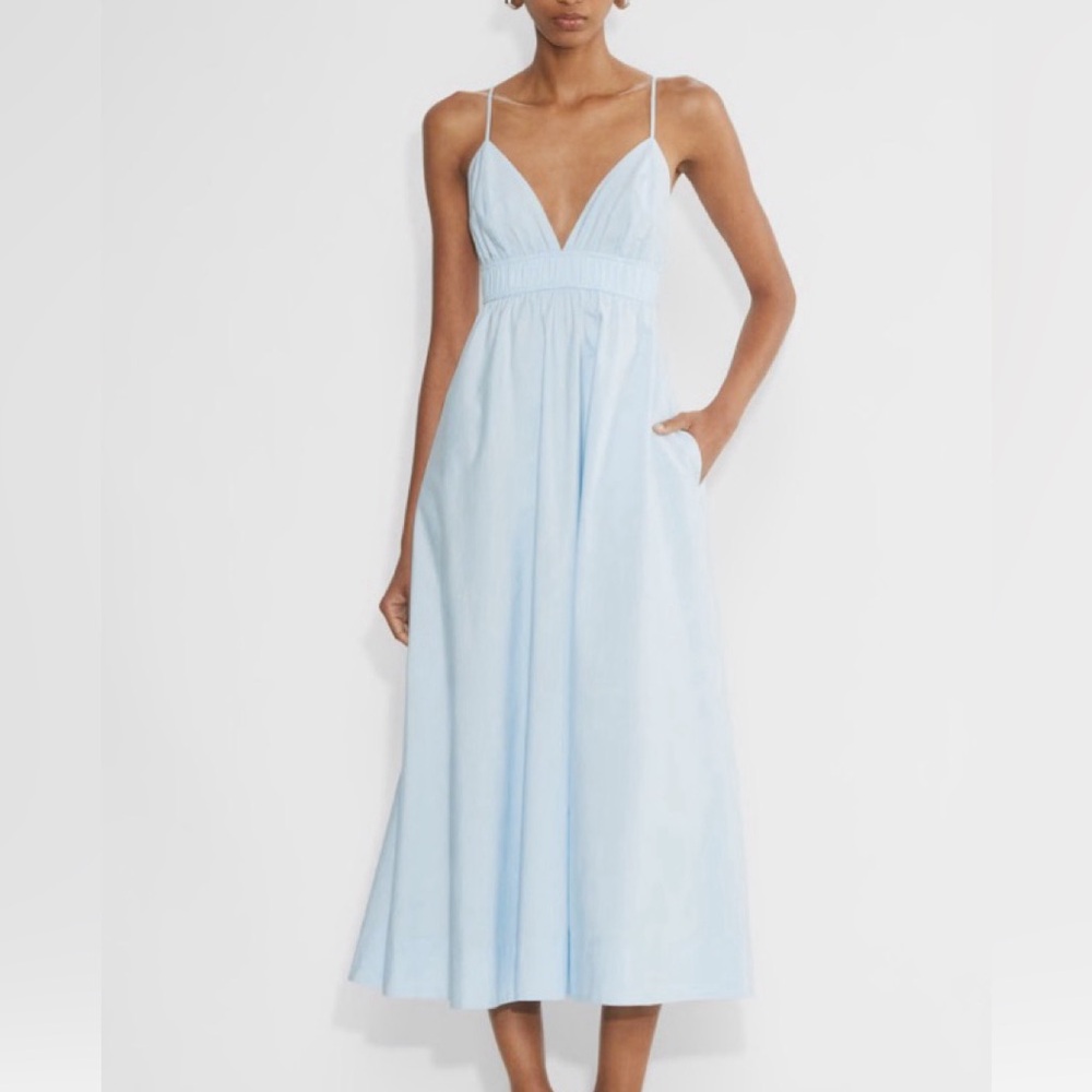 Aritzia Babaton Encourage Dress